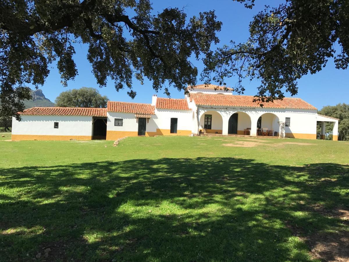 Casa Rural De La Finca Sierra Grande Hornachos Εξωτερικό φωτογραφία